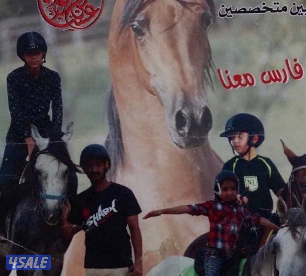 مربط للخيل  ومدرسة لتعليم الفروسية ومعرض في اسطبلات الجهراء2