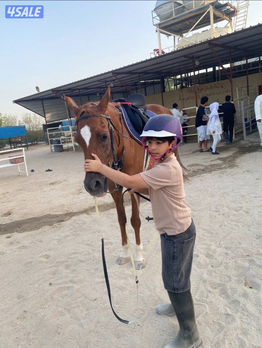 مربط للخيل  ومدرسة لتعليم الفروسية ومعرض في اسطبلات الجهراء3