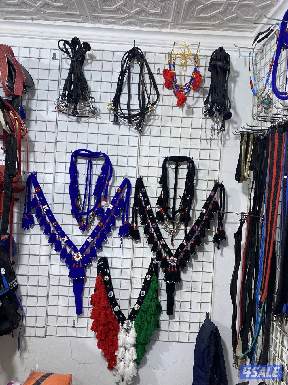 مربط للخيل  ومدرسة لتعليم الفروسية ومعرض في اسطبلات الجهراء6