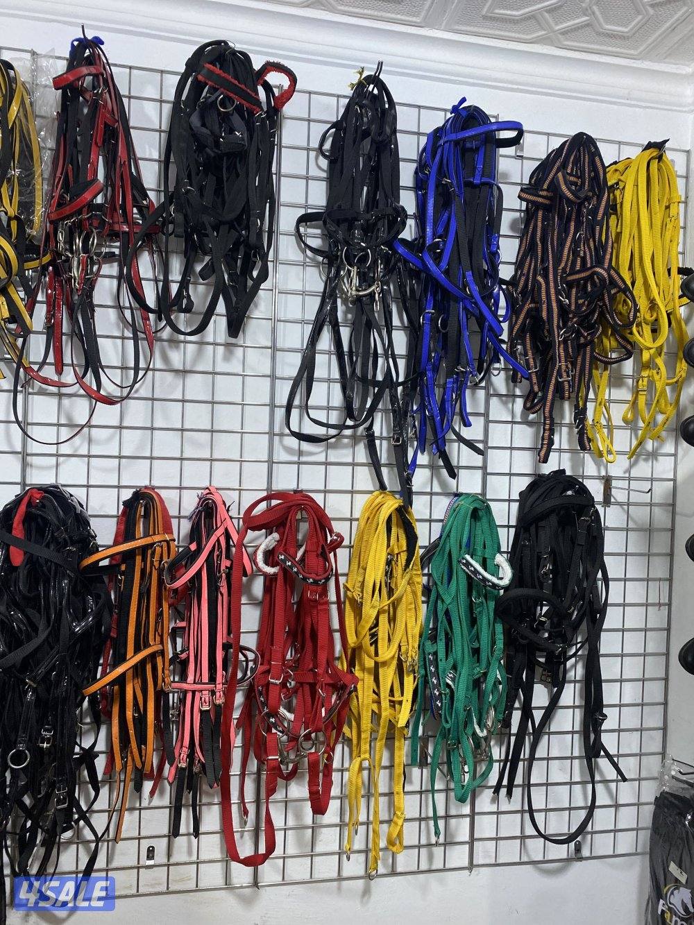 مربط للخيل  ومدرسة لتعليم الفروسية ومعرض في اسطبلات الجهراء7