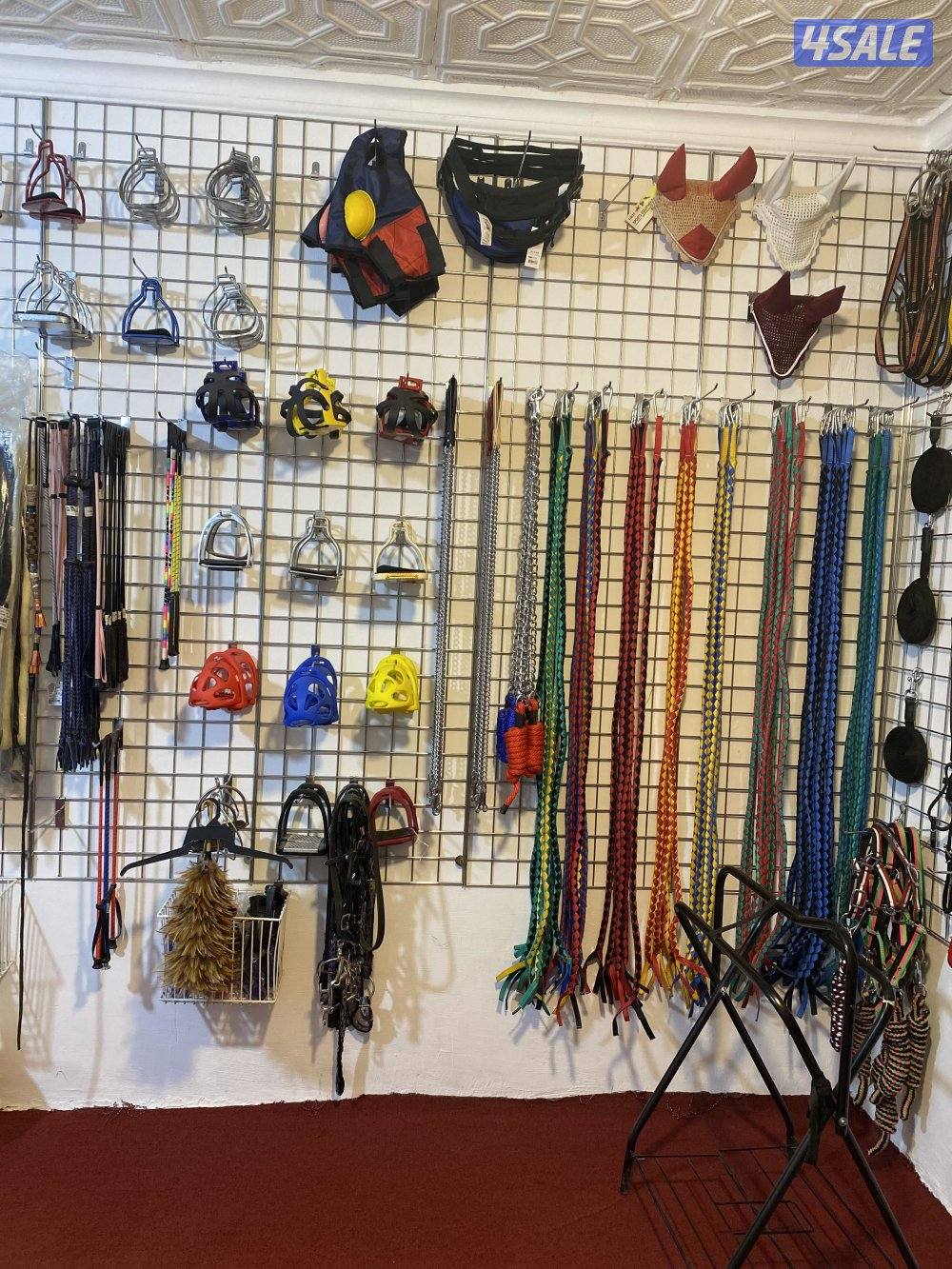 مربط للخيل  ومدرسة لتعليم الفروسية ومعرض في اسطبلات الجهراء15