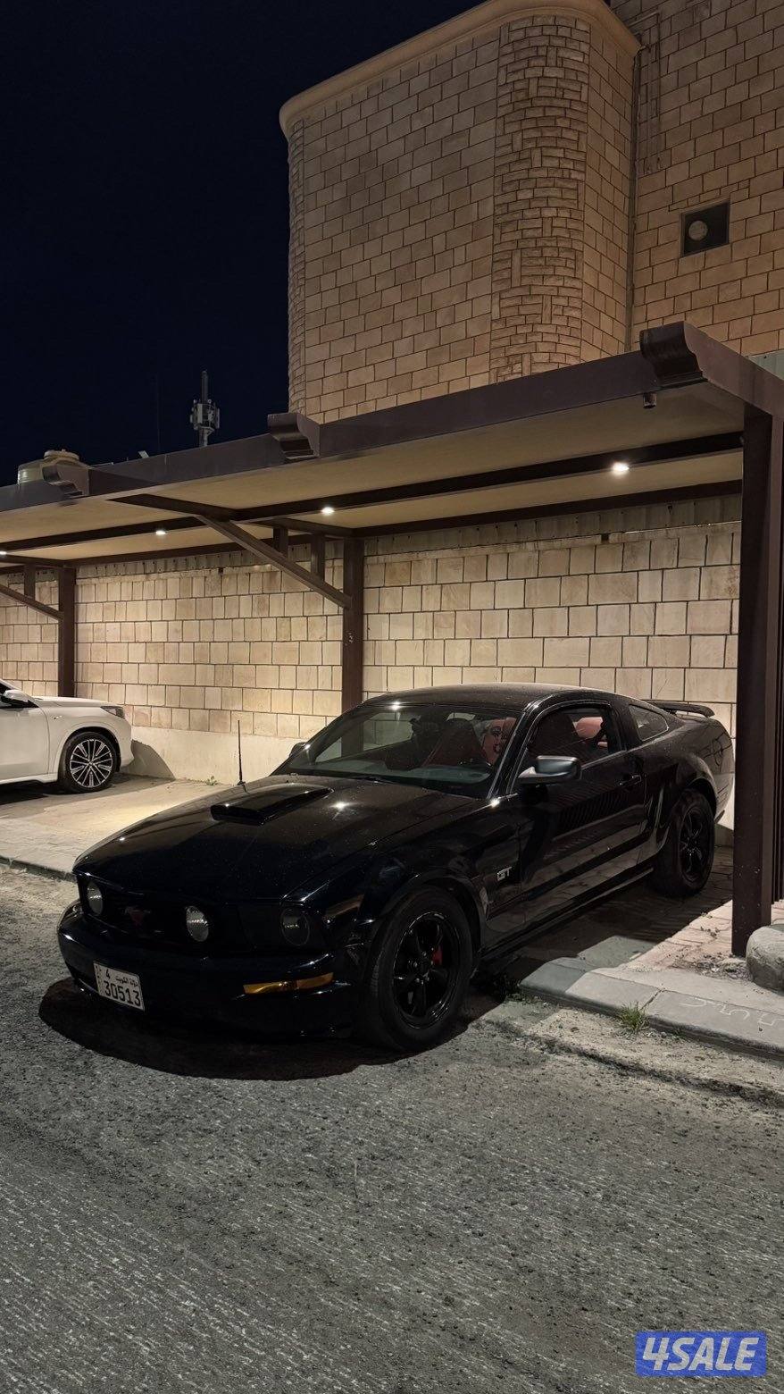 للبيع موستنق0