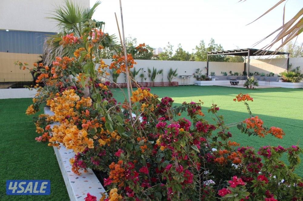 استراحة المالديف سوبر ديلوكس ( متوفر شهري )4