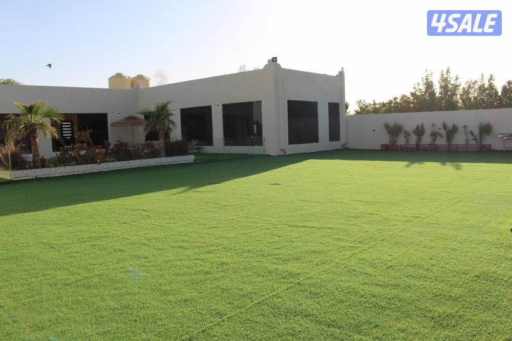 استراحة المالديف سوبر ديلوكس ( متوفر شهري )6