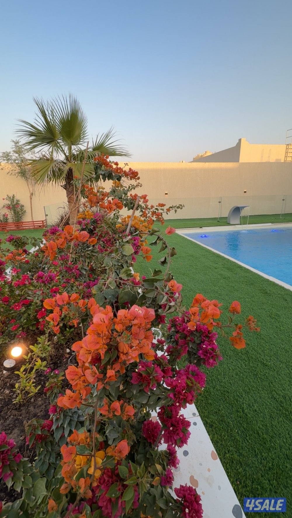 استراحة المالديف سوبر ديلوكس ( متوفر شهري )8