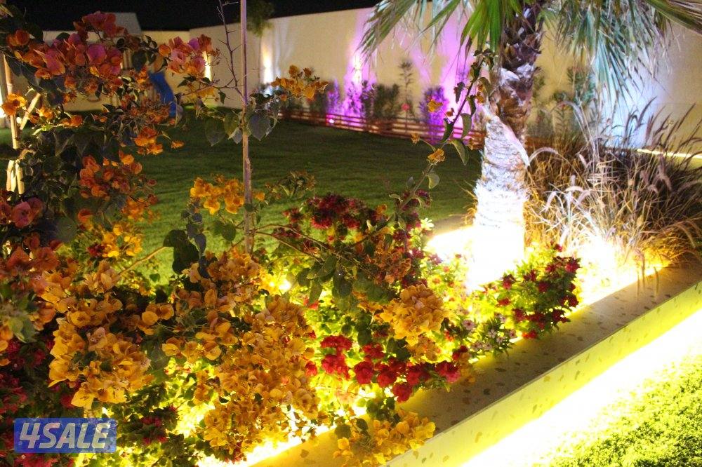 استراحة المالديف سوبر ديلوكس ( متوفر شهري )14