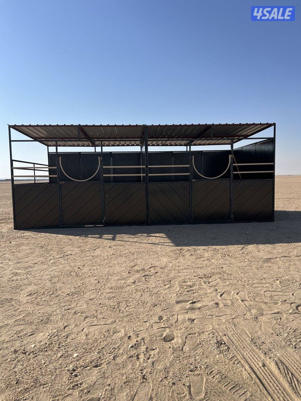 بناجر ابو علي10