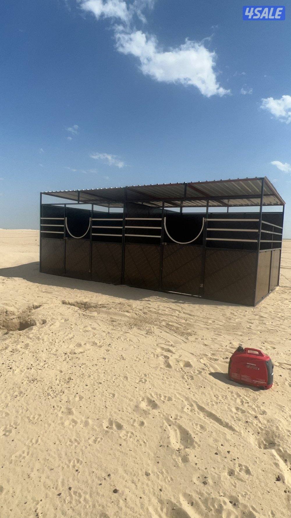 بناجر ابو علي12