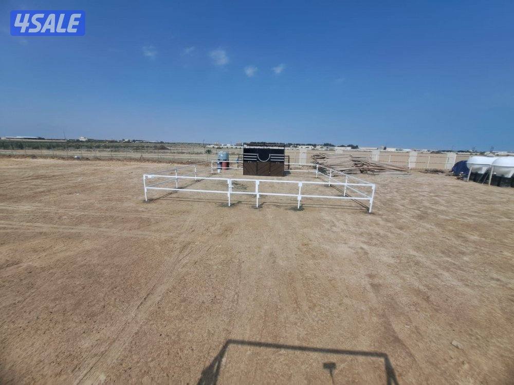 بناجر ابو علي13