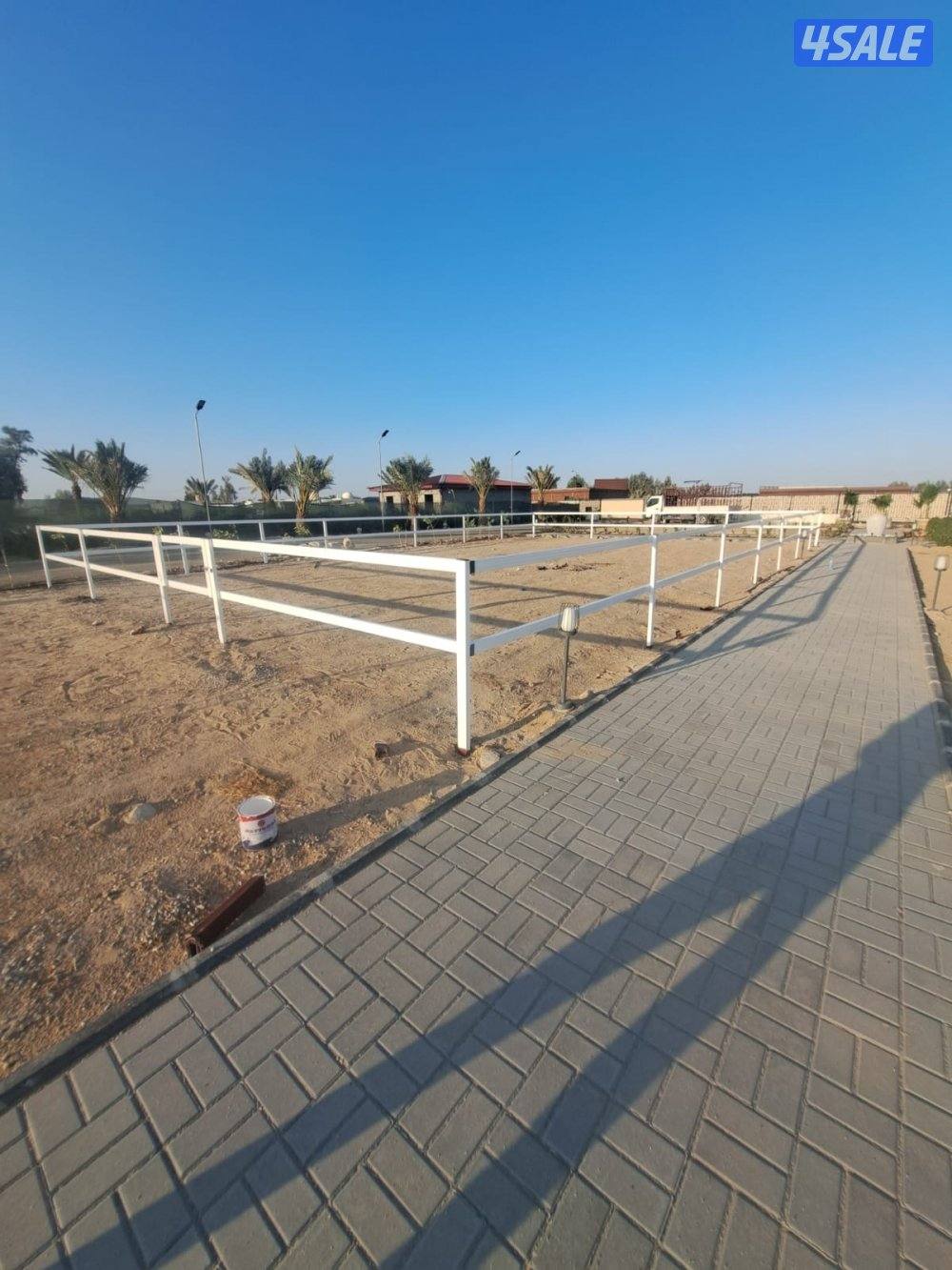 بناجر ابو علي14