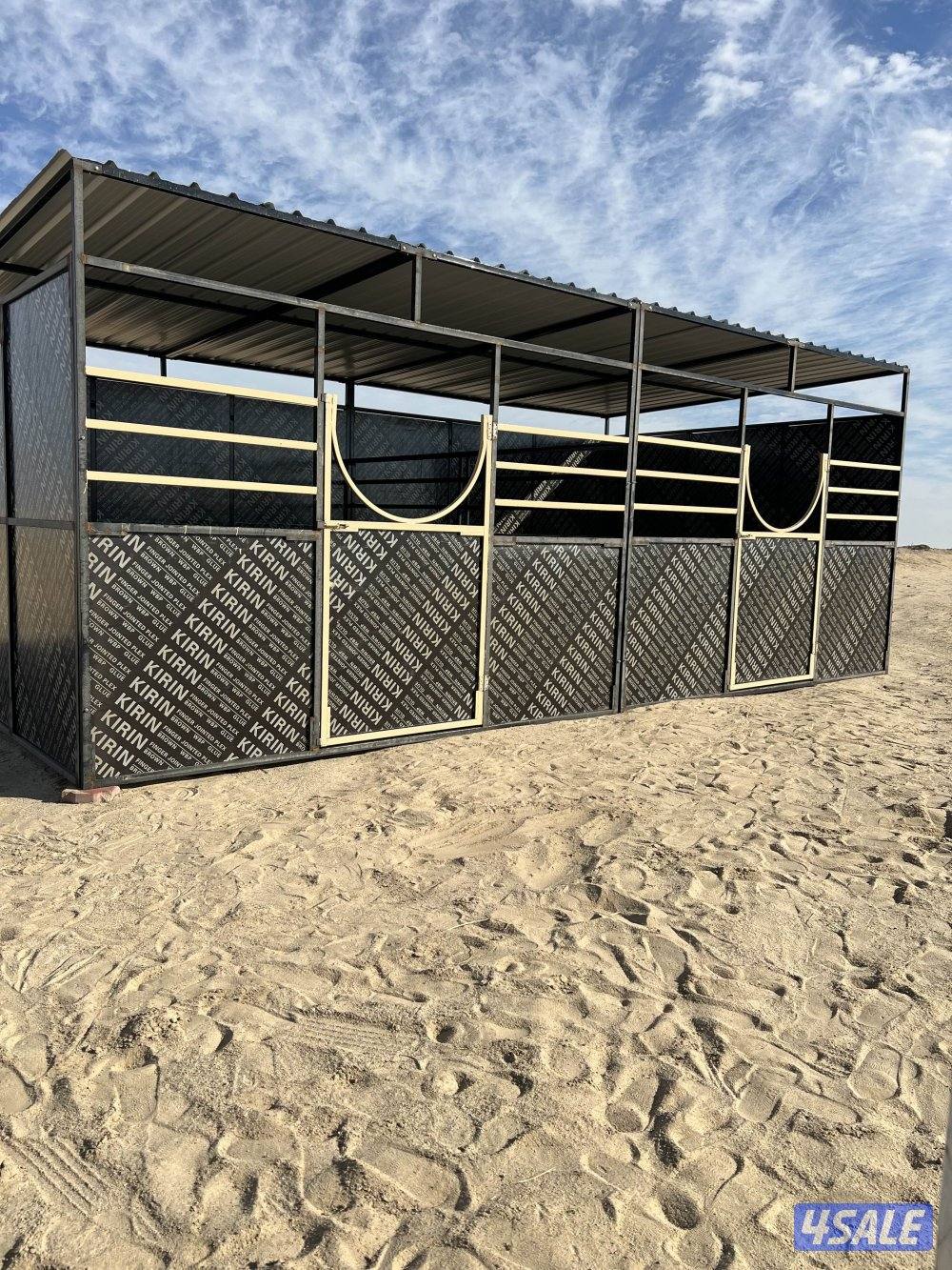 بناجر ابو علي17