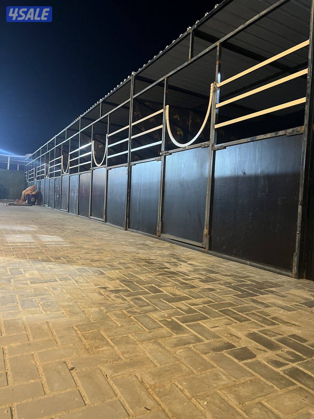 بناجر ابو علي18