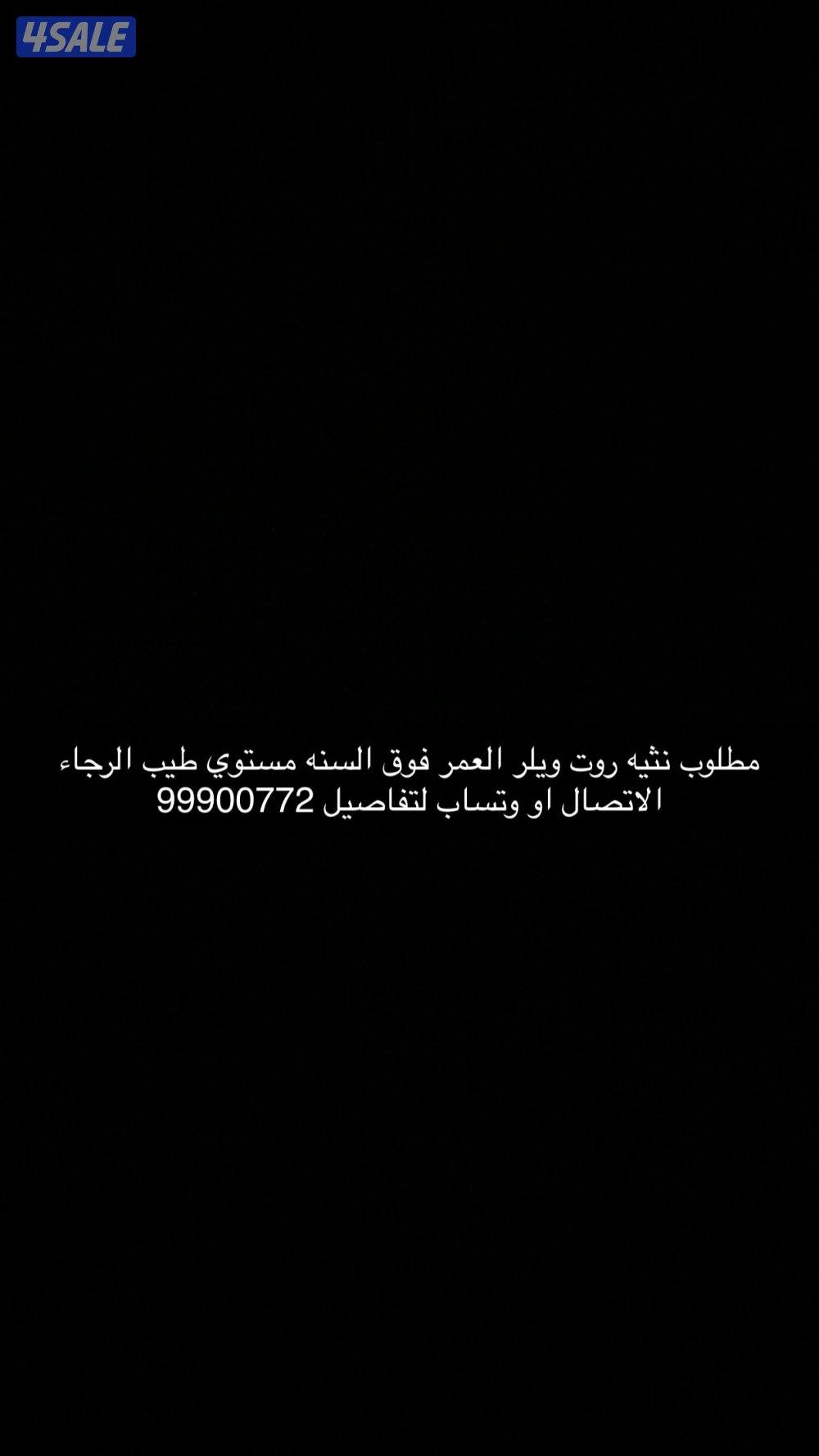 مطلوب نثيه روت ويلر العمر فوق السنه مستوي طيب1