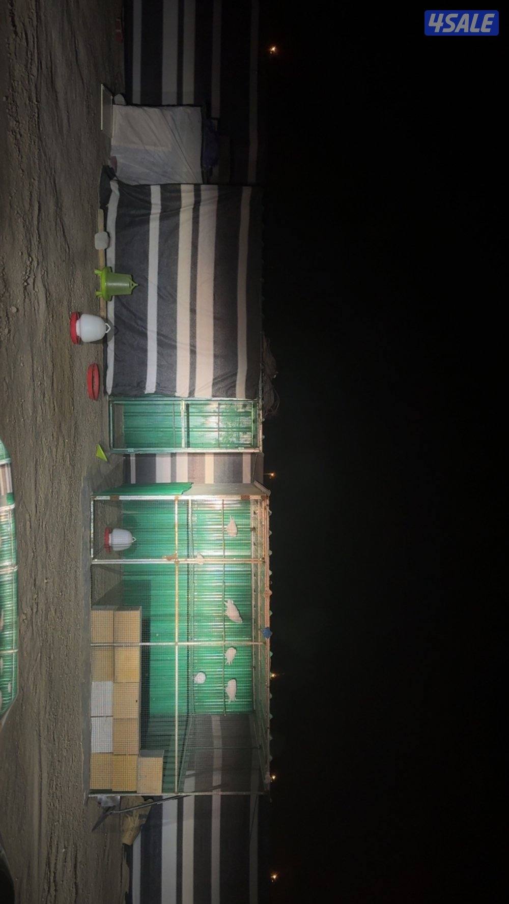 مخيم للبيع2