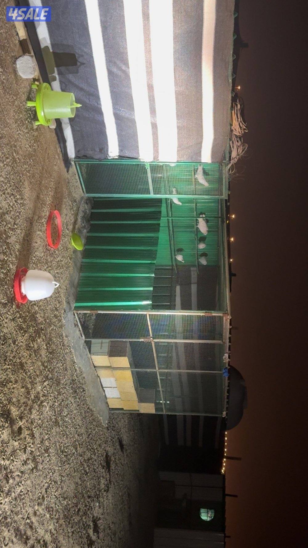 مخيم للبيع1