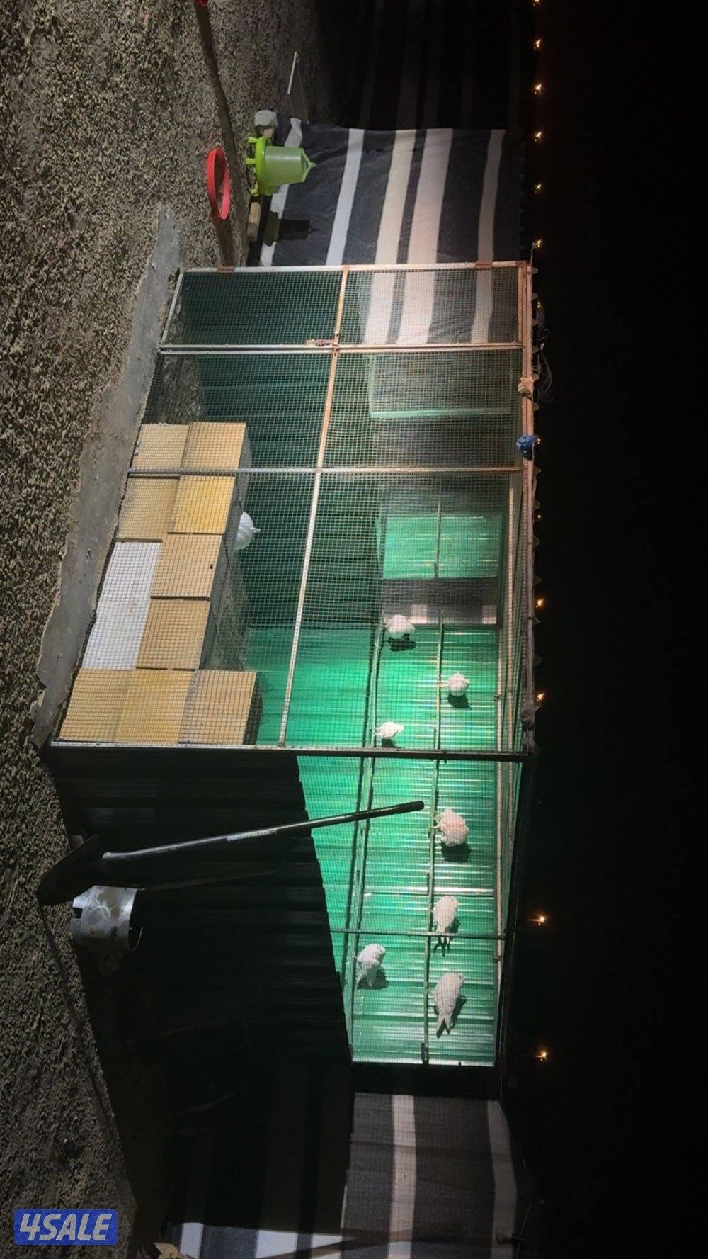 مخيم للبيع3