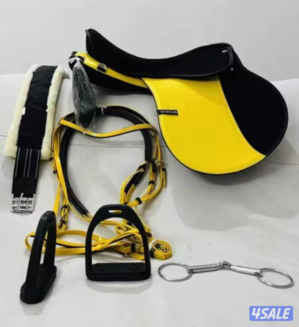 سرج ستيتوس جديد باكياسه السوم لاعلى سعر ولا يكلمني إلا الصامل1