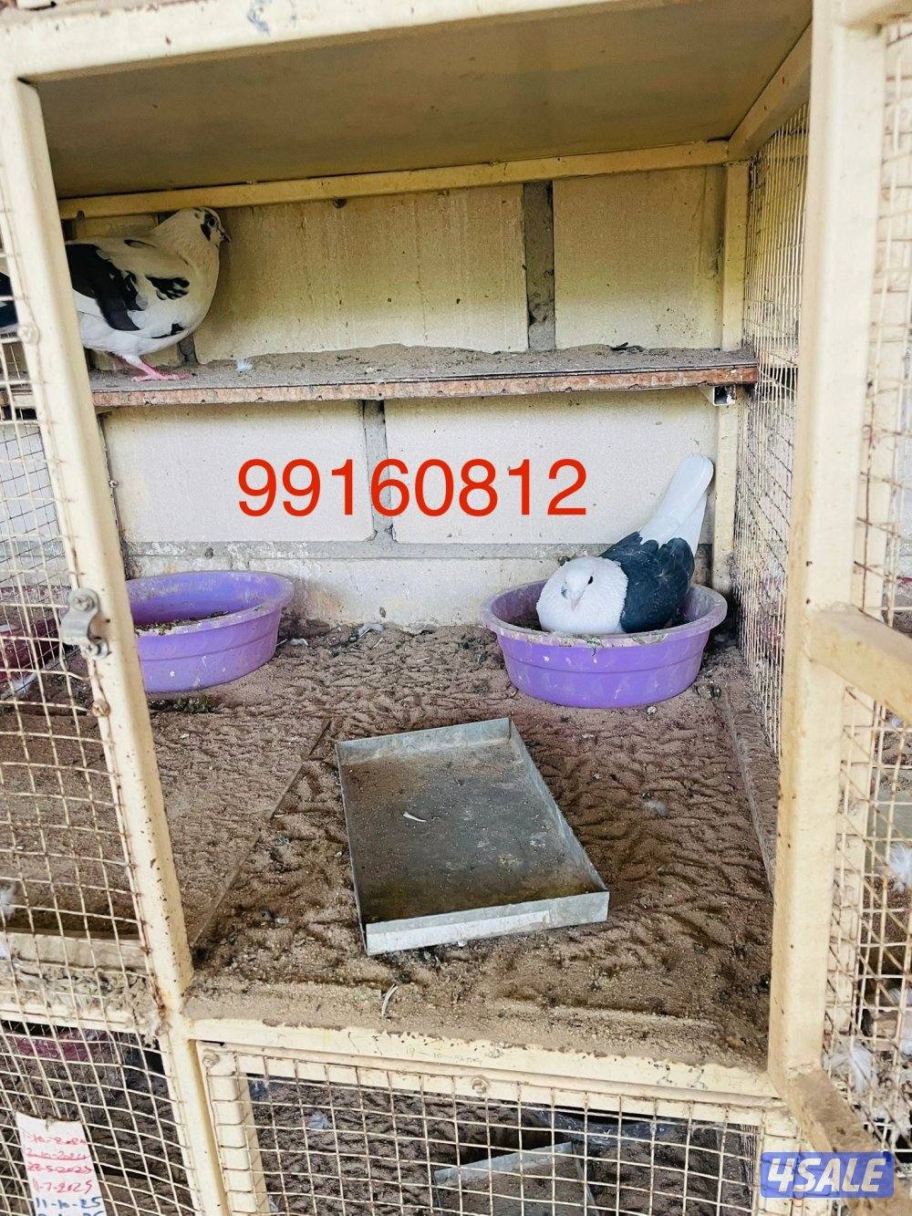 حمام تزريق بالخانات عس طيب2