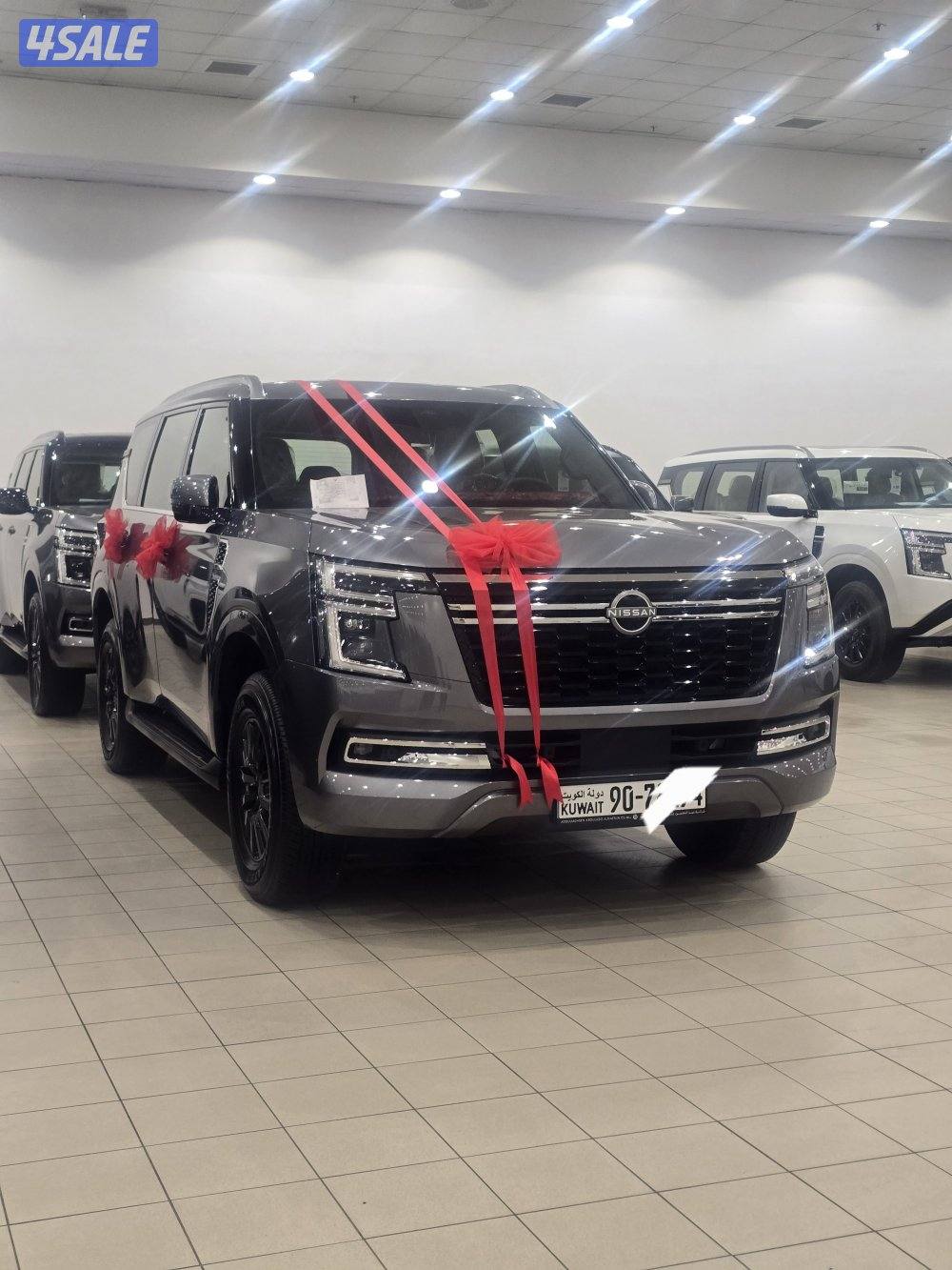 دول الخليج4