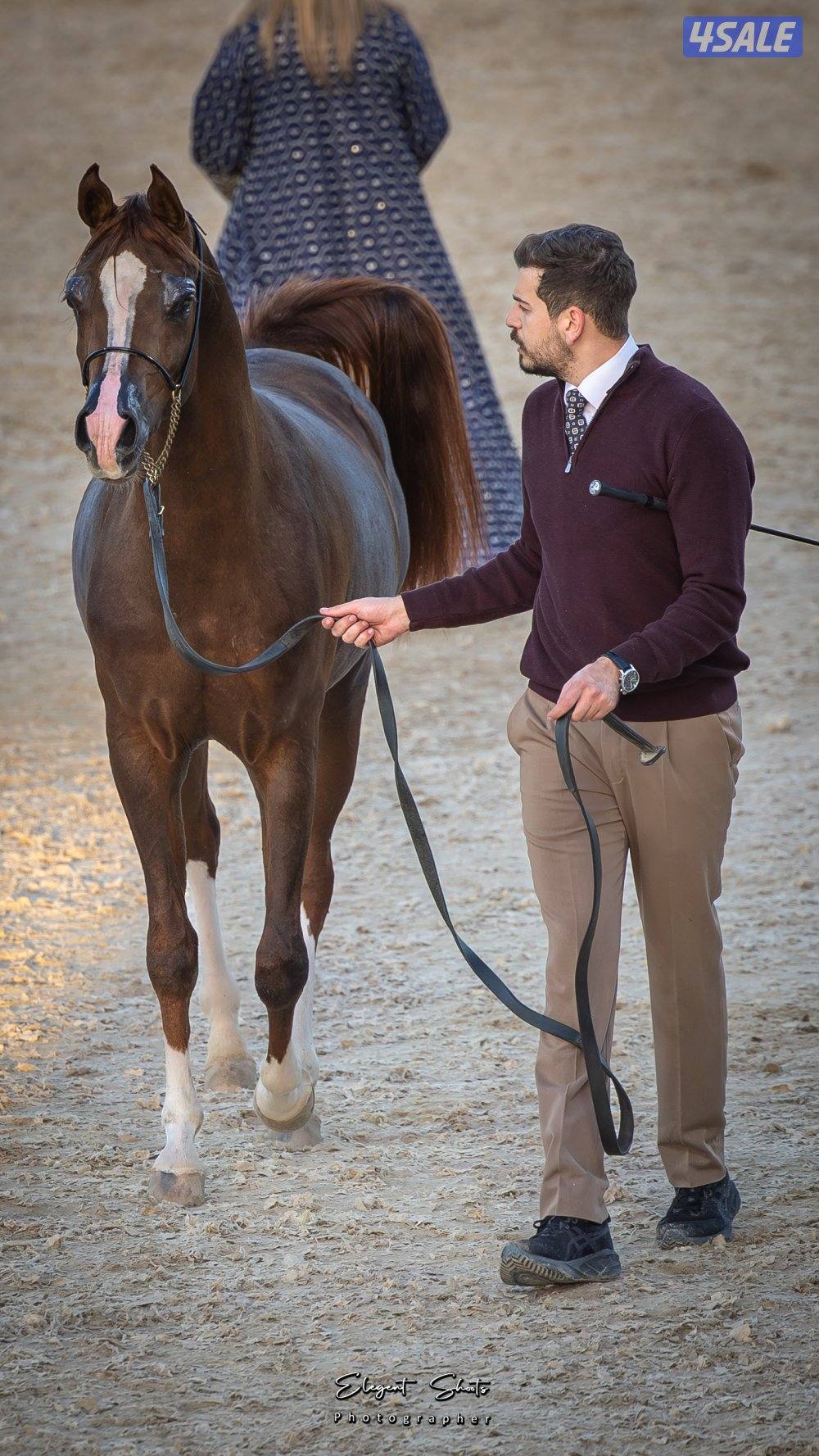 مهر شو بولش1