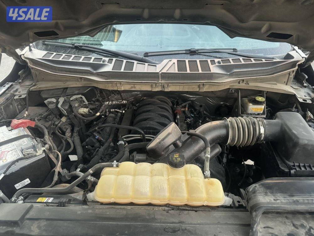 للبيع وانيت F150 Sport 202310