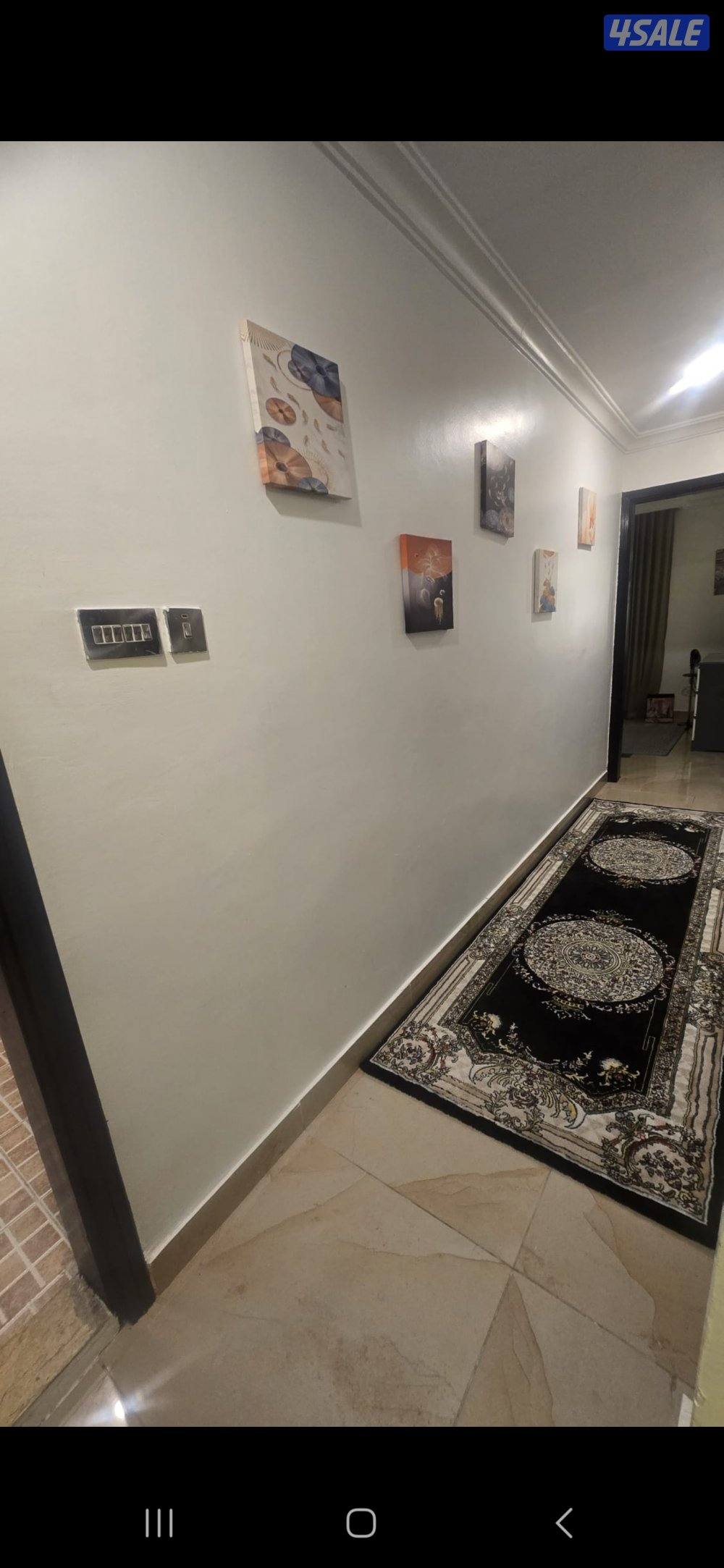 شقه كبيره راقيه4