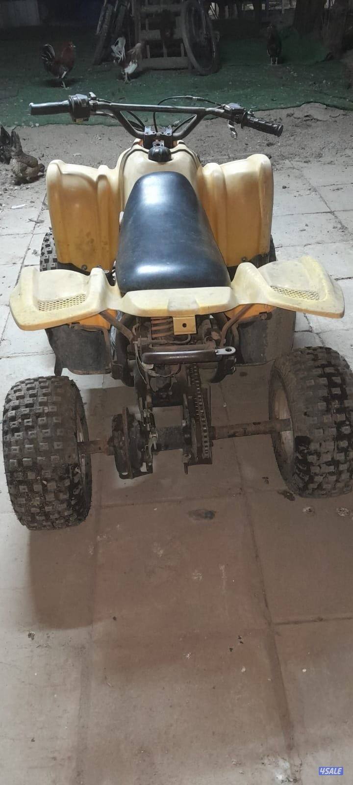 بقي العميري الاصلي ياباني1