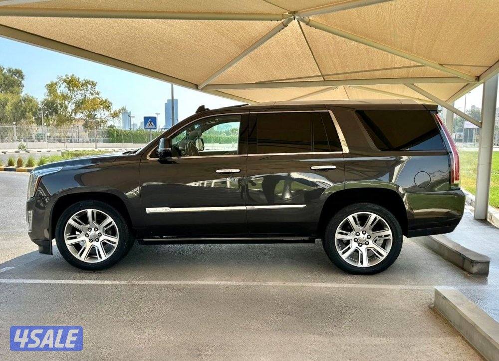 كاديلاك إسكاليد - الموديل : 2016 - العداد: 1703