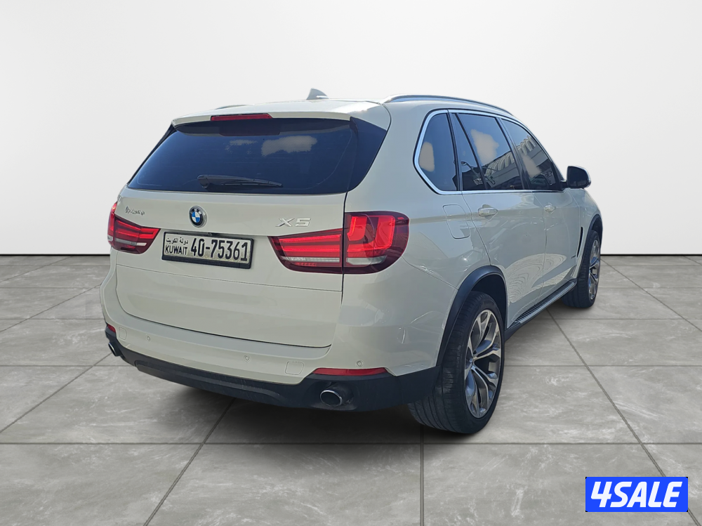 BMW X51