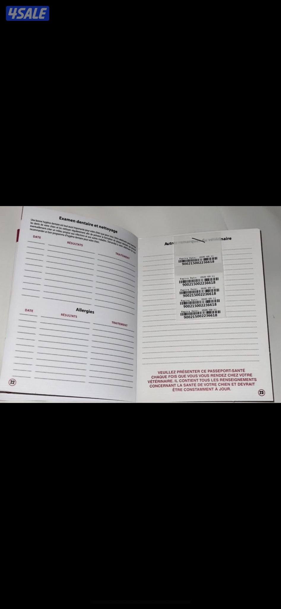 كلاب مالينوا6