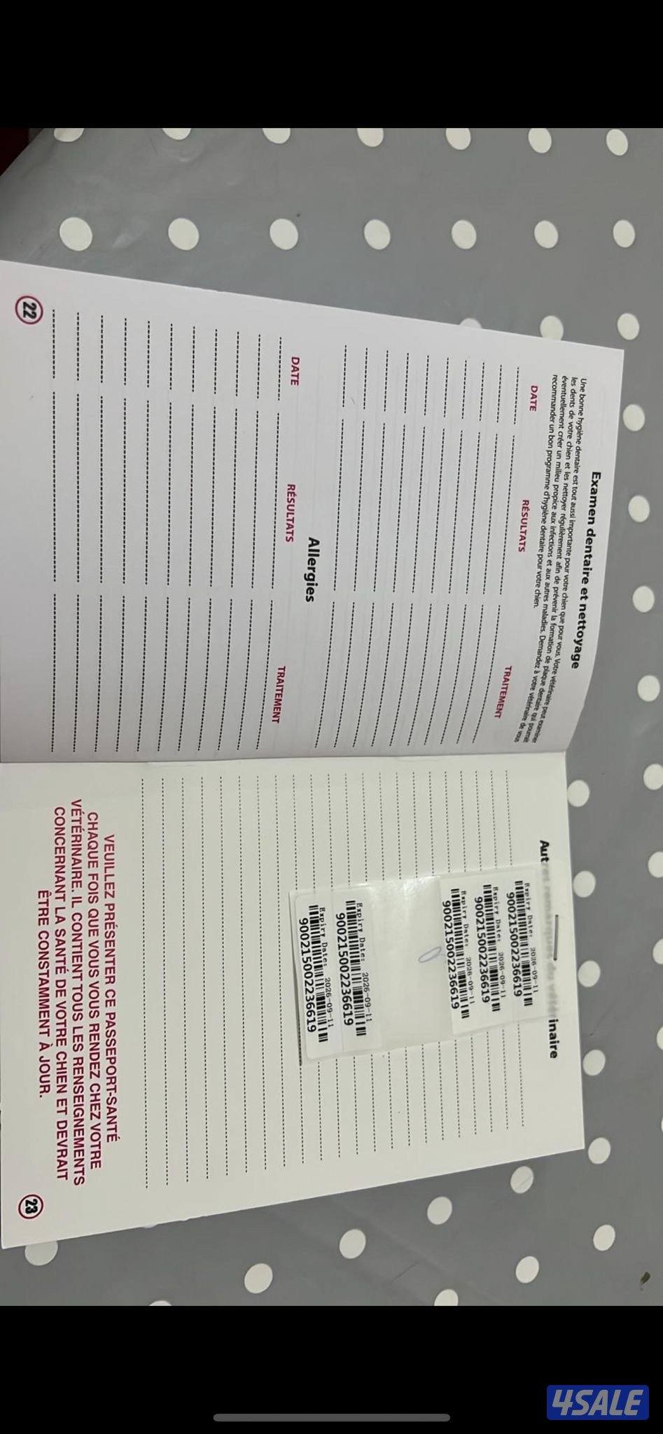 كلاب مالينوا7