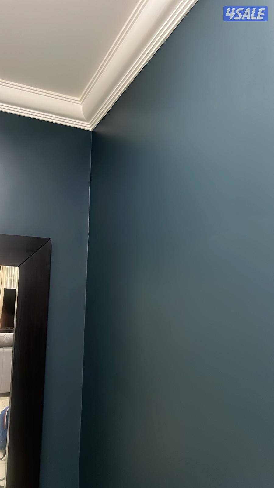 ابو عبد الرحمن جميع الاصباغ الداخلية والخارجية1