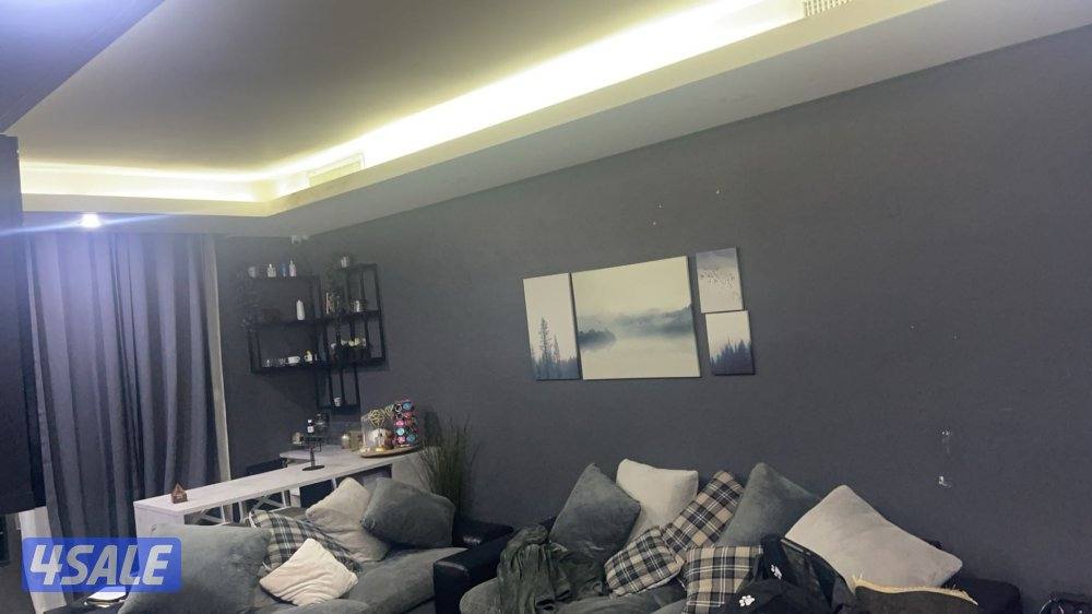 ابو عبد الرحمن جميع الاصباغ الداخلية والخارجية5