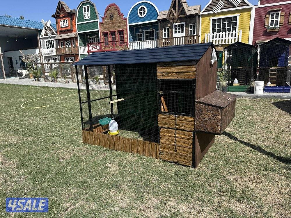 بيوت للدجاج1