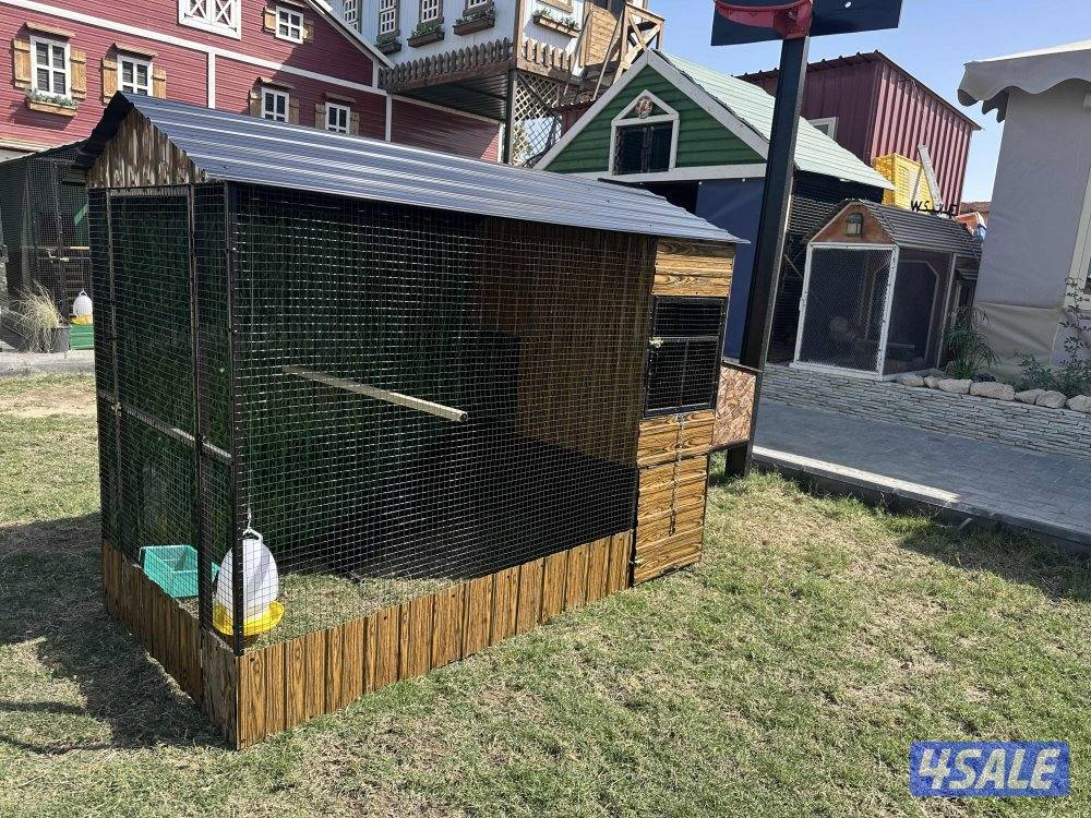 بيوت للدجاج2