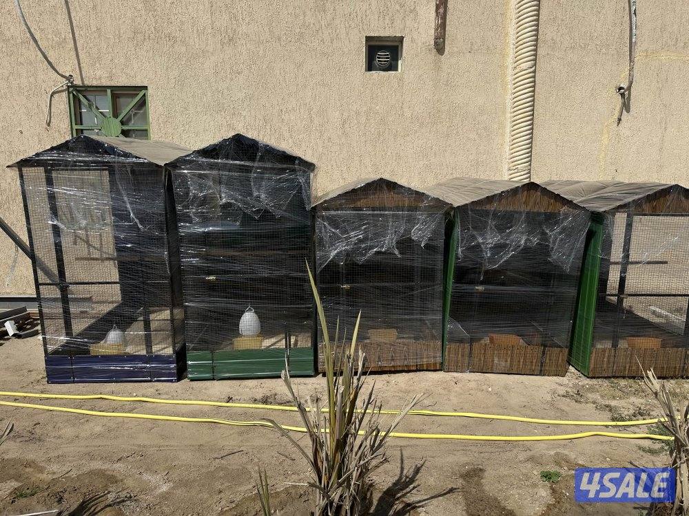 بيوت للدجاج4