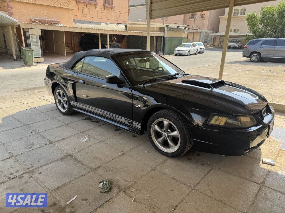 موستنج ٢٠٠٣0