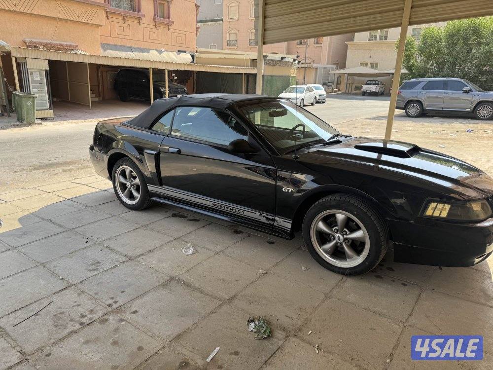 موستنج ٢٠٠٣1