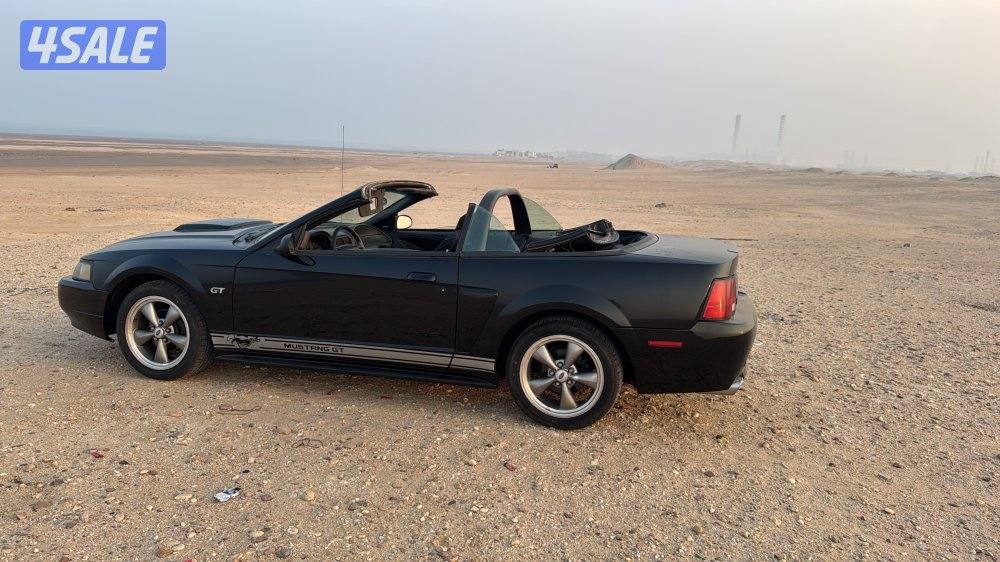 موستنج ٢٠٠٣2