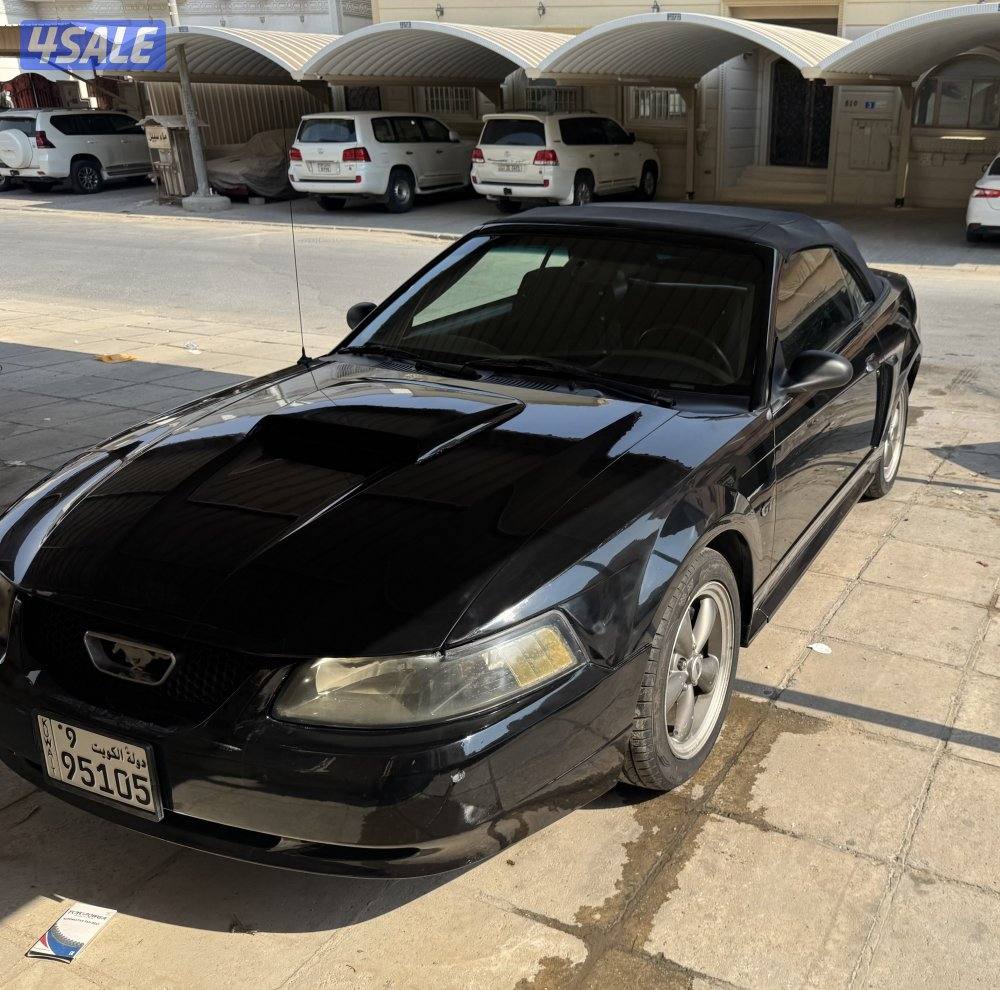 موستنج ٢٠٠٣3