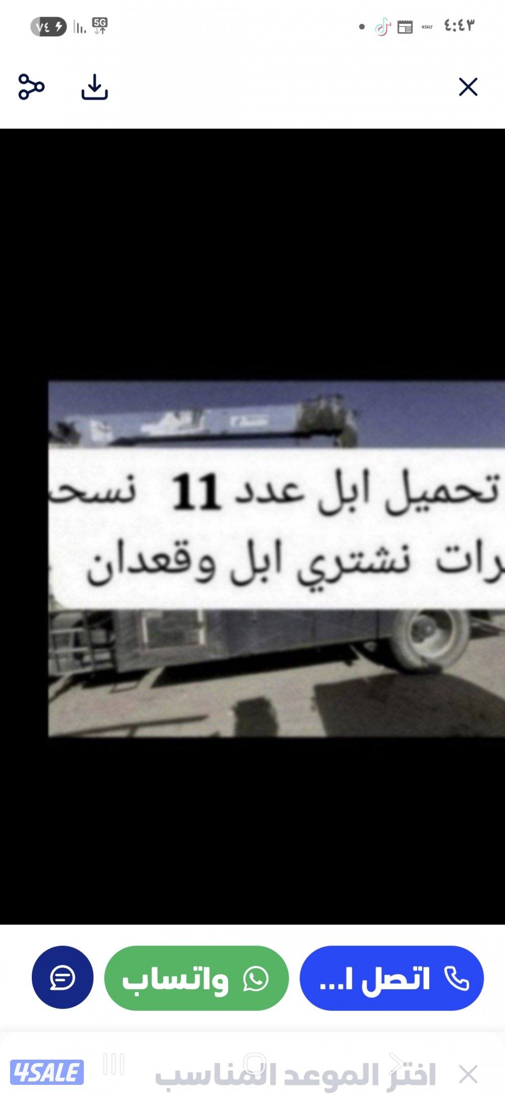 نشتري ابل وحشوونش تحمل بل العدد 120