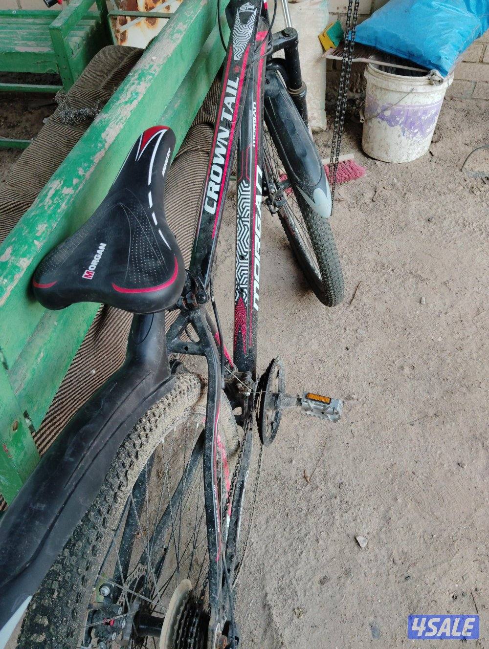 سيكل مقاس 297