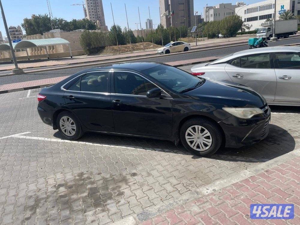 الصليبيخات قطعه ١2