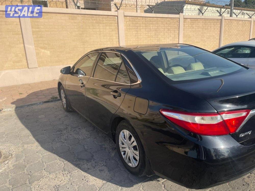 الصليبيخات قطعه ١3