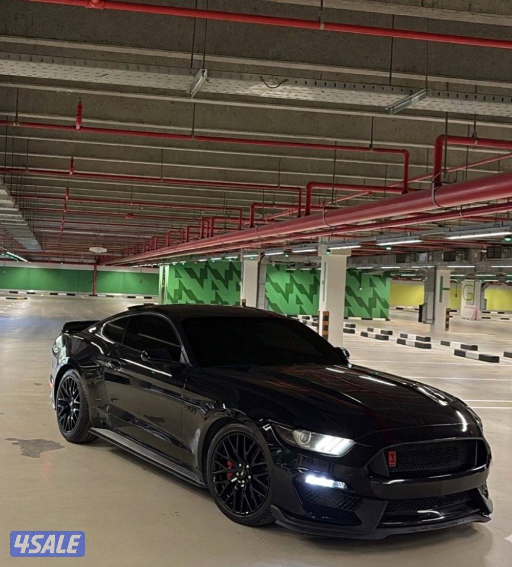 للبيع موستنق ٢٠١٥1