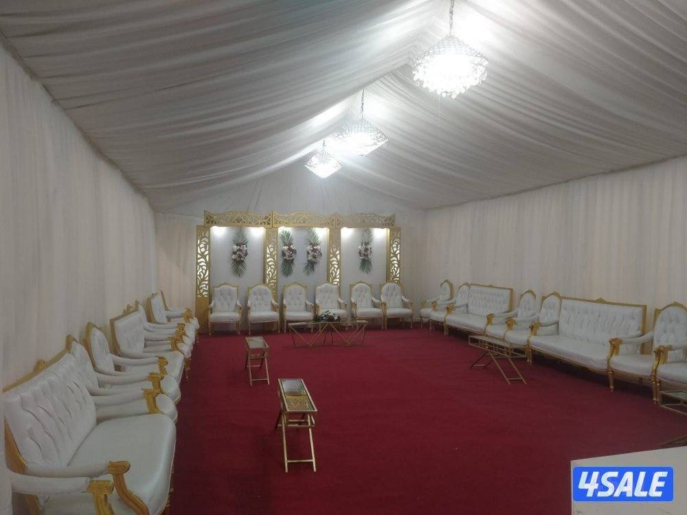 تأجير كراسي وطولات وجميع المستلزمات افراح مناسبات5