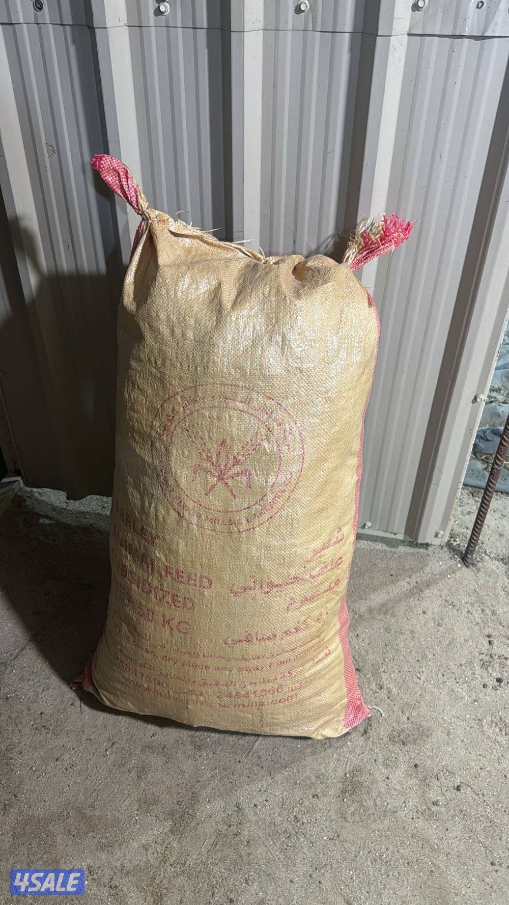 خياش برسيم تاروتي الوفره1