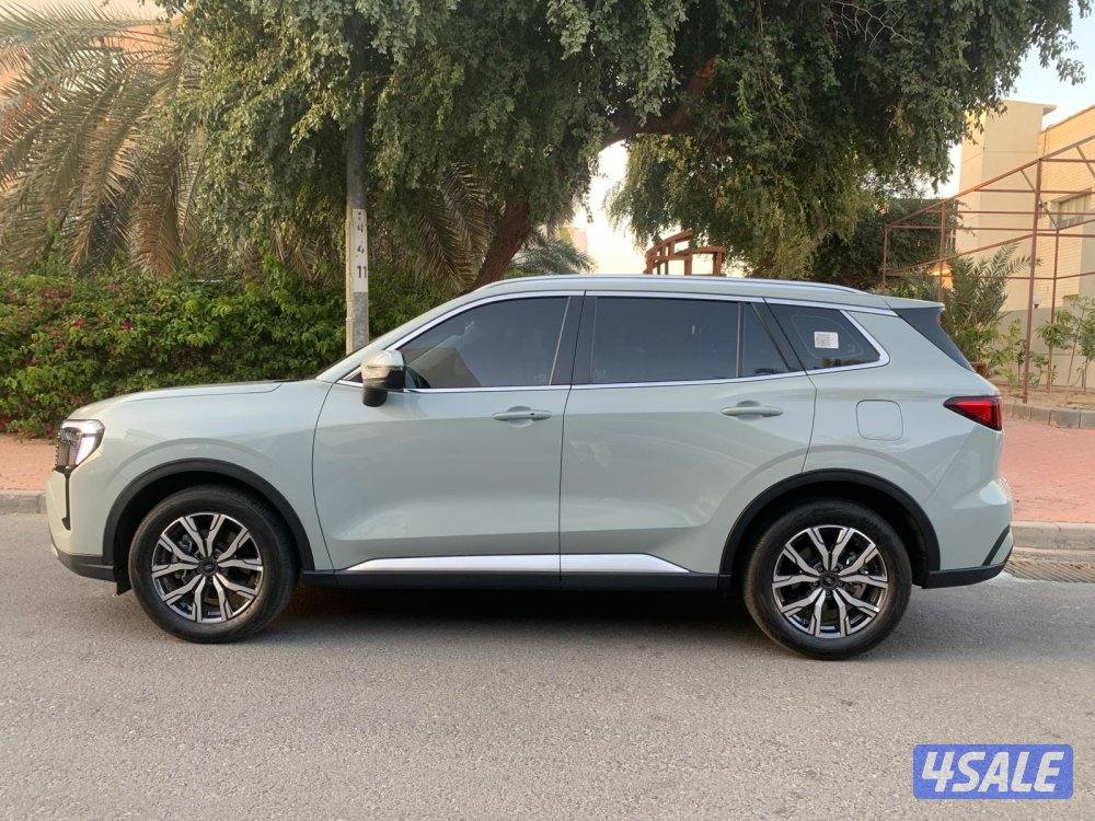 ترتوري ترند 20263