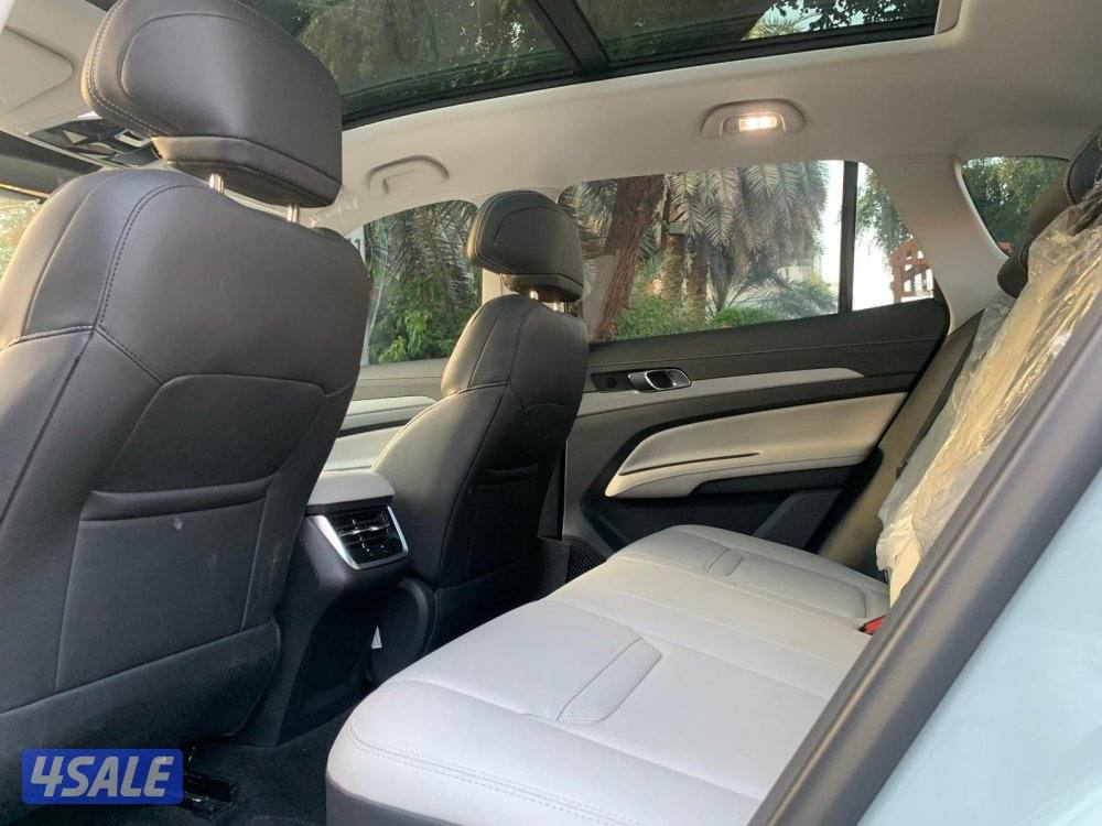 ترتوري ترند 20267