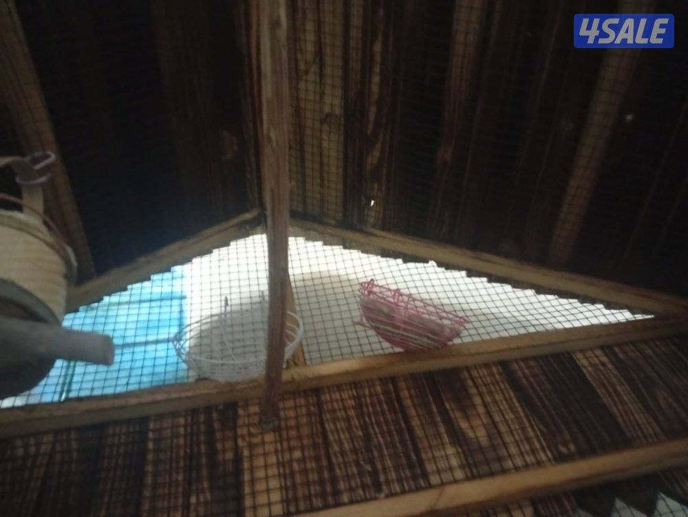 للبيع قفص  تفصال  كبير خشب يصلح لجميع الطيور والسناجب معاه صينية تتظيف0